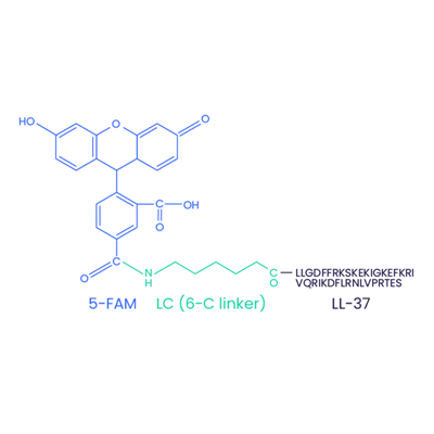 5-FAM-LL-37 (зашифрованный) CAS 2022972-73-0